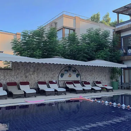 فندق أكان بيتش 3*